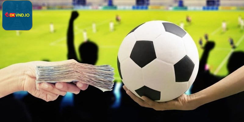 Chăm sóc khách hàng tận tình đảm bảo trải nghiệm tốt nhất