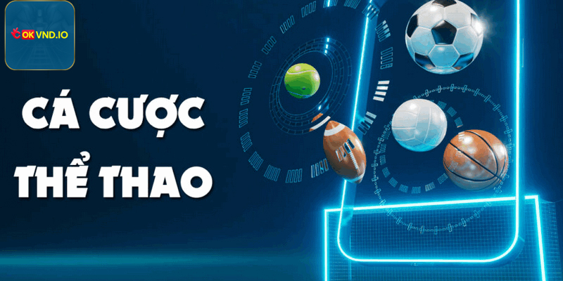 Người chơi dễ dàng so sánh tỷ lệ trước khi đặt cược